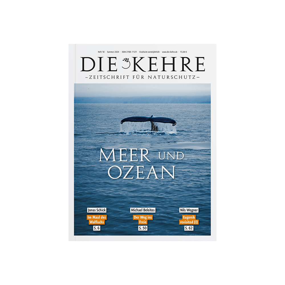 Die Kehre Nr. 18 – Meer und Ozean