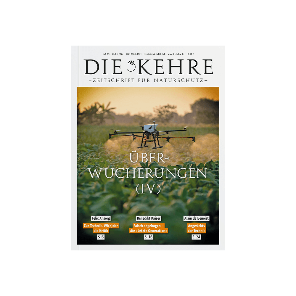 Die Kehre Nr. 19 – Überwucherungen (IV)