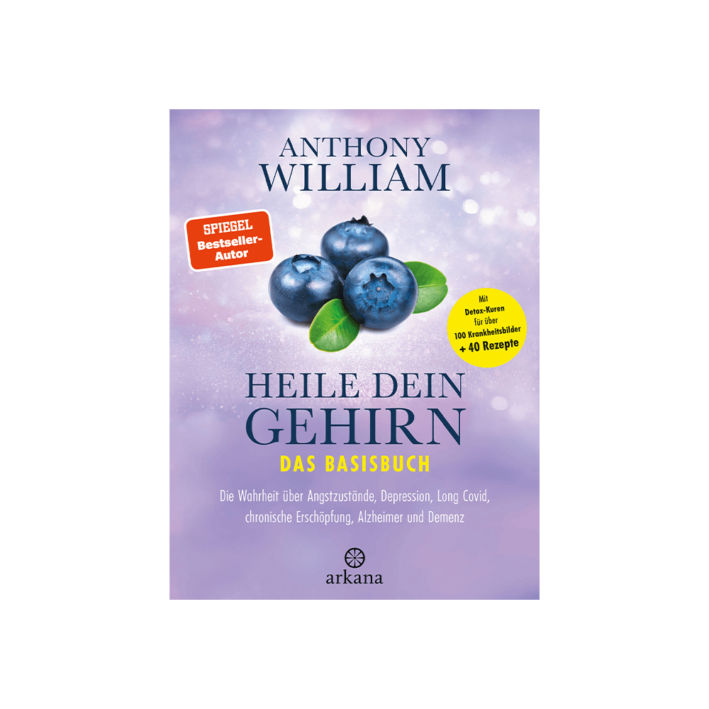 Heile dein Gehirn – Das Basisbuch