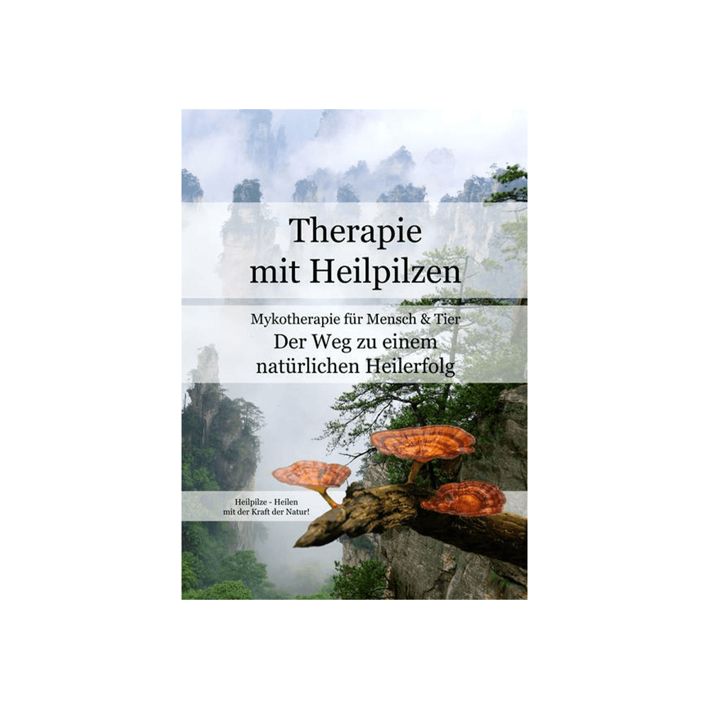 Therapie mit Heilpilzen