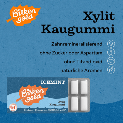 Xylit Kaugummi Icemint