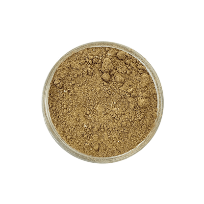 Bio Kürbis Latte Gewürzmischung