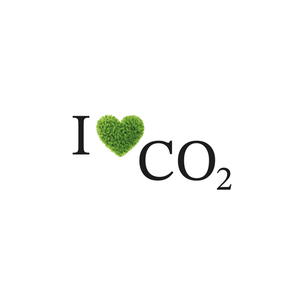 T-Shirt „I Love CO2“