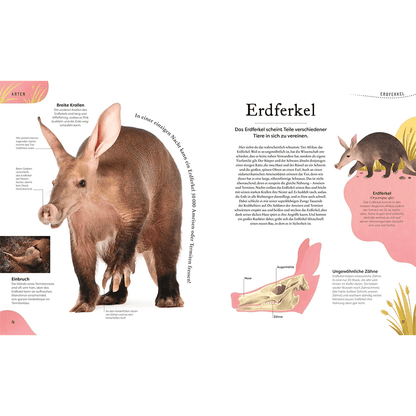Kuriose Schätze der Natur
