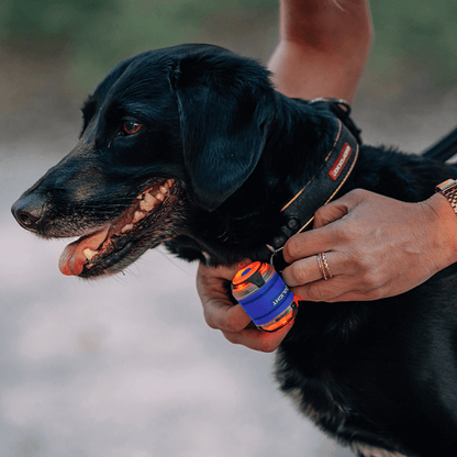 Olight Gober 2 Sicherheitslicht
