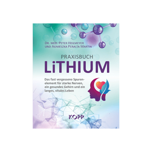 Praxisbuch Lithium