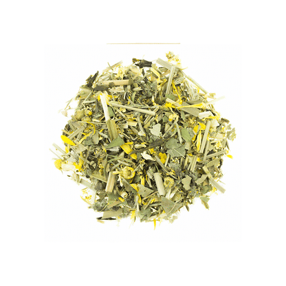 TeeTox Bio-Kräuterteemischung