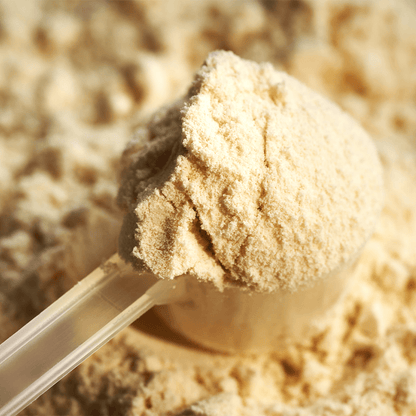 Bio Whey Protein Vanille