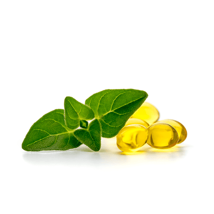 Oregano Öl Kapseln