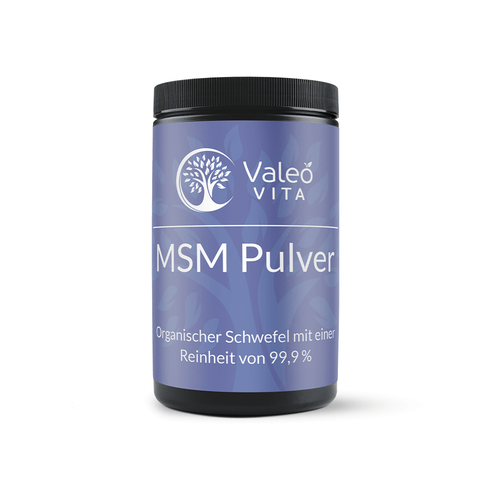 MSM Pulver