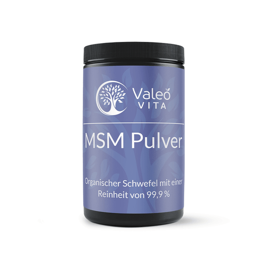 MSM Pulver