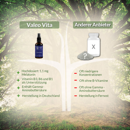 Schlaf Spray mit Melatonin
