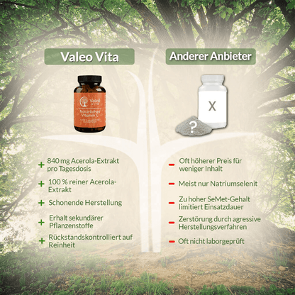 Natürliches Vitamin C aus Acerolakirschen