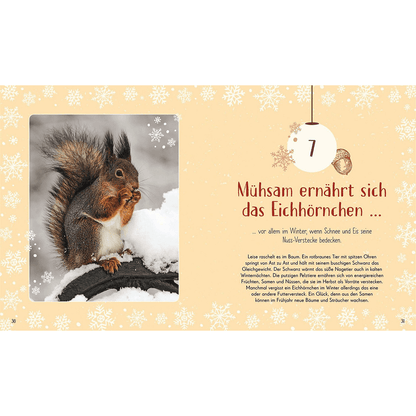 Wundervolle Welt – Adventskalender