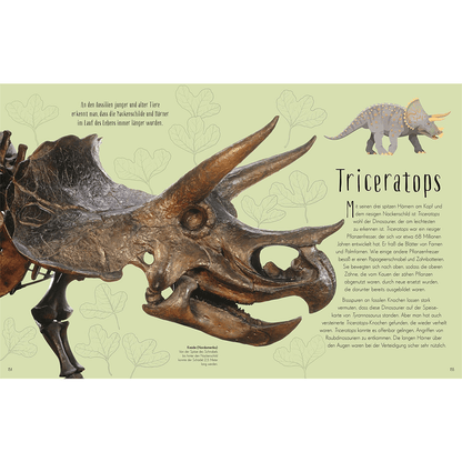 Wundervolle Welt der Dinosaurier und der Urzeit