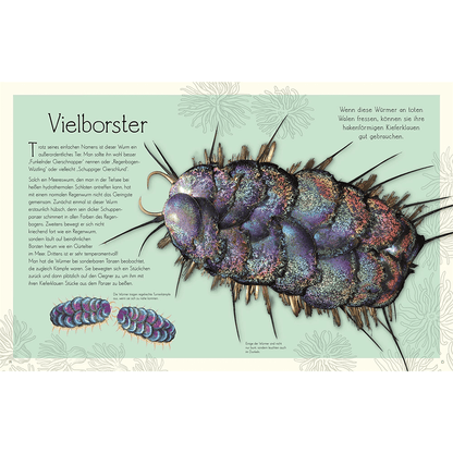 Wundervolle Welt – Wasser