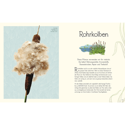 Wundervolle Welt – Wasser
