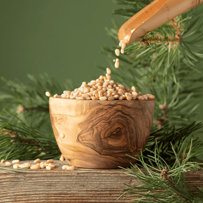 Zedernkerne aus der Taiga