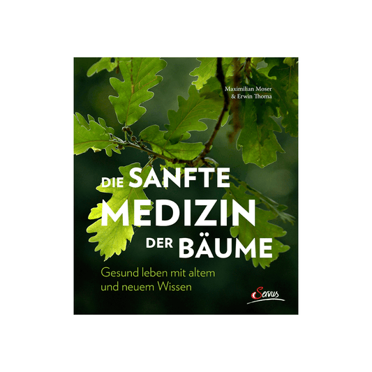 Die sanfte Medizin der Bäume